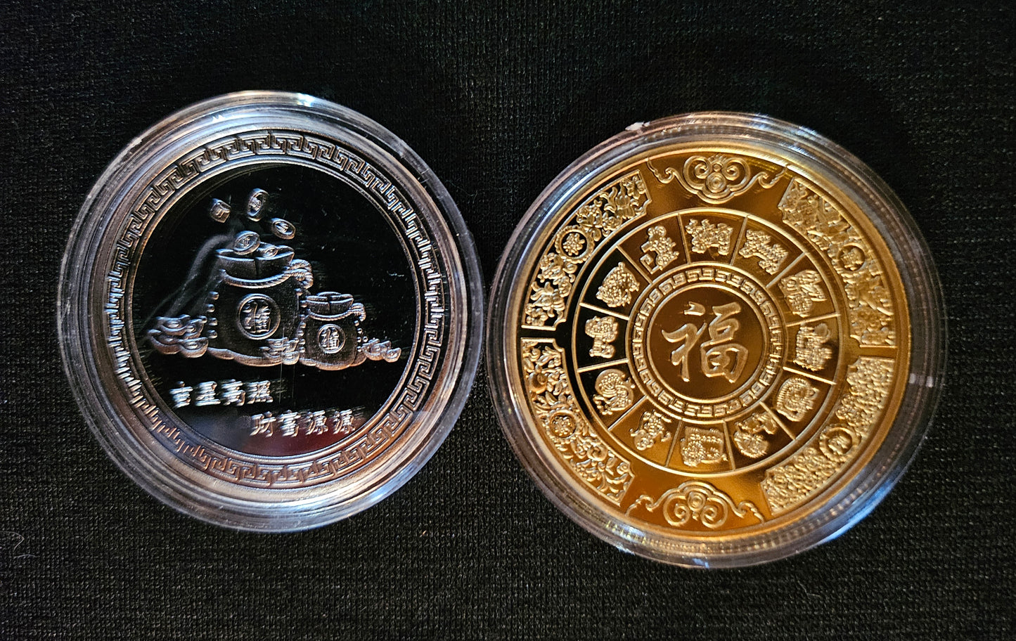 Year of the Snake Coin