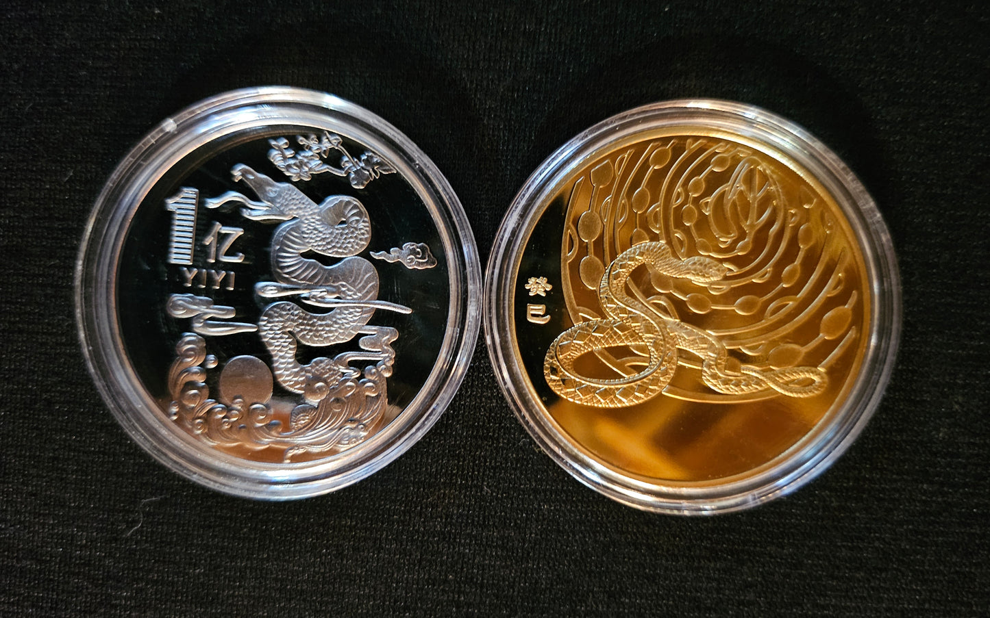 Year of the Snake Coin
