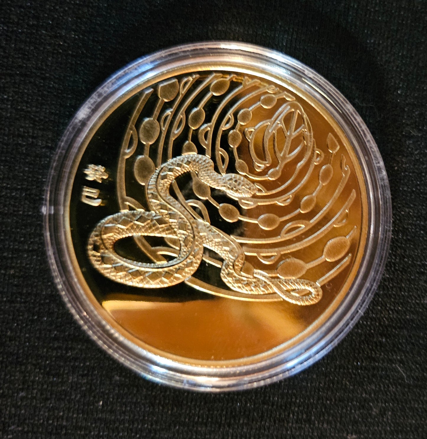 Year of the Snake Coin